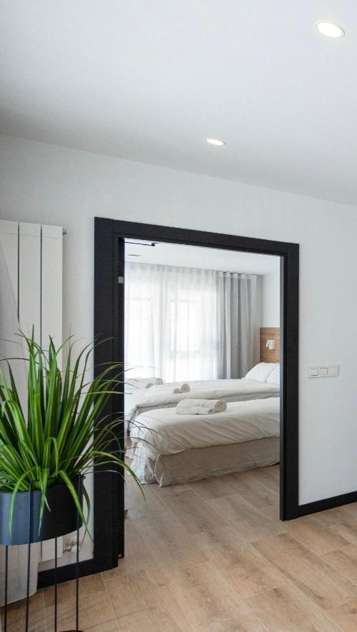 Donostia Rooms San Sebastián Kültér fotó